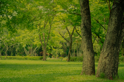 Parco del Roero: natura, Rocche e itinerari in Piemonte - Parco del Roero: natura, Rocche e itinerari in Piemonte