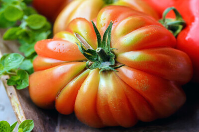 Pomodoro Cuore di Bue - Pomodoro Cuore di Bue