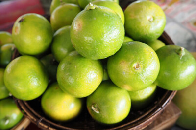 Limonello Verdello - Limonello Verde