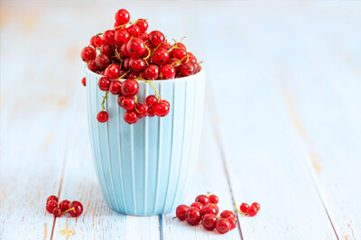 Ribes - ribes