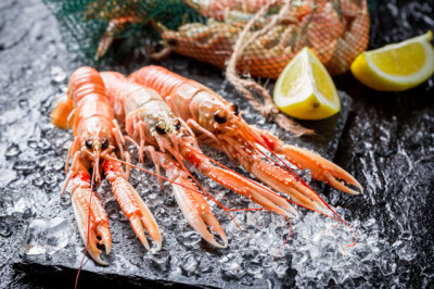 Scampi - scampi